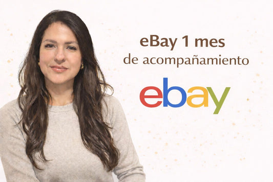 Ebay Master Curso + 1 Clase Personalizada